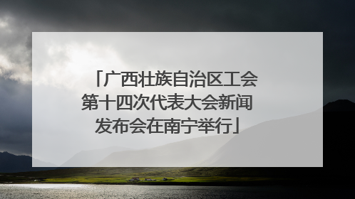 广西壮族自治区工会第十四次代表大会新闻发布会在南宁举行
