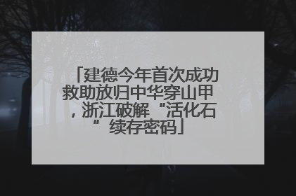 建德今年首次成功救助放归中华穿山甲，浙江破解“活化石”续存密码