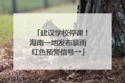 建议学校停课！海南一地发布暴雨红色预警信号→