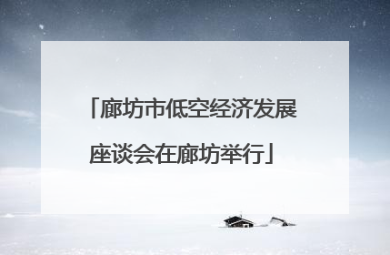 廊坊市低空经济发展座谈会在廊坊举行