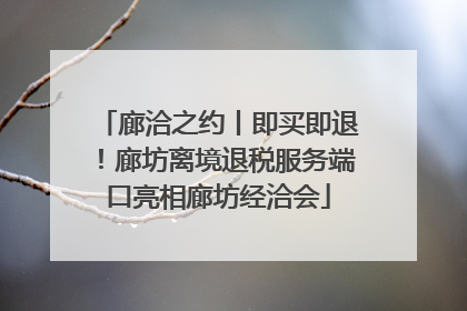 廊洽之约丨即买即退！廊坊离境退税服务端口亮相廊坊经洽会
