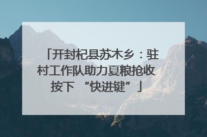 开封杞县苏木乡：驻村工作队助力夏粮抢收按下 “快进键”