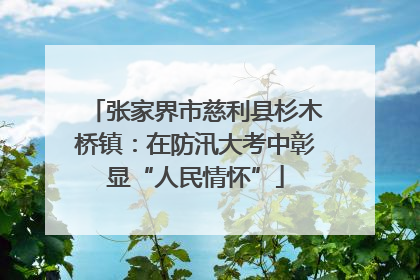 张家界市慈利县杉木桥镇：在防汛大考中彰显“人民情怀”