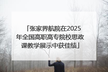 张家界航院在2025年全国高职高专院校思政课教学展示中获佳绩