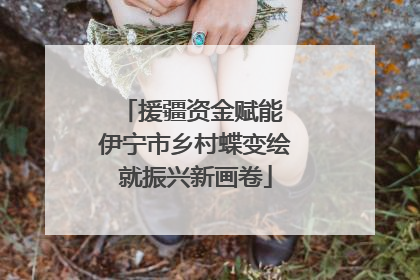 援疆资金赋能 伊宁市乡村蝶变绘就振兴新画卷