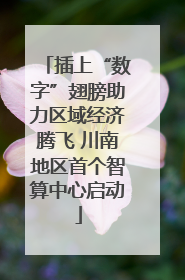 插上“数字”翅膀助力区域经济腾飞 川南地区首个智算中心启动