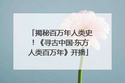 揭秘百万年人类史！《寻古中国·东方人类百万年》开播