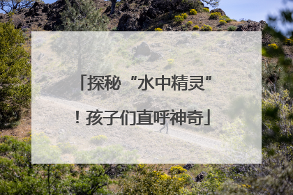 探秘“水中精灵”！孩子们直呼神奇