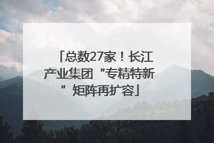 总数27家！长江产业集团“专精特新”矩阵再扩容