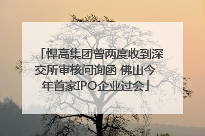 悍高集团曾两度收到深交所审核问询函 佛山今年首家IPO企业过会