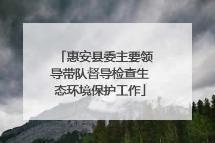 惠安县委主要领导带队督导检查生态环境保护工作