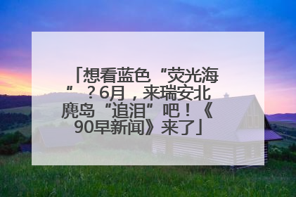 想看蓝色“荧光海”？6月，来瑞安北麂岛“追泪”吧！《90早新闻》来了