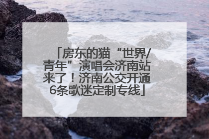 房东的猫“世界/青年”演唱会济南站来了！济南公交开通6条歌迷定制专线