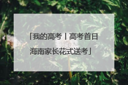 我的高考丨高考首日 海南家长花式送考