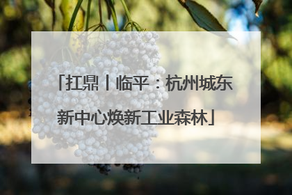 扛鼎丨临平：杭州城东新中心焕新工业森林