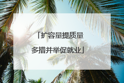 扩容量提质量 多措并举促就业