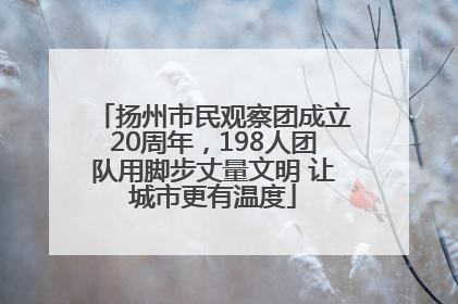 扬州市民观察团成立20周年，198人团队用脚步丈量文明 让城市更有温度