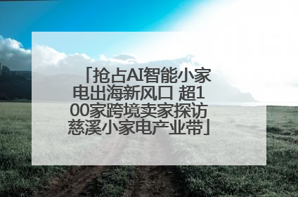 抢占AI智能小家电出海新风口 超100家跨境卖家探访慈溪小家电产业带