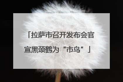 拉萨市召开发布会官宣黑颈鹤为“市鸟”