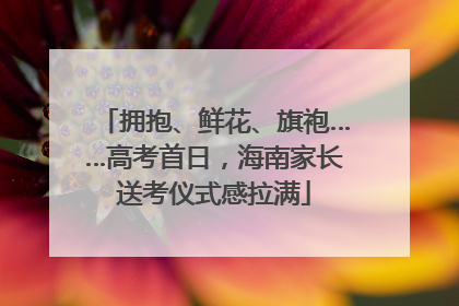 拥抱、鲜花、旗袍……高考首日，海南家长送考仪式感拉满
