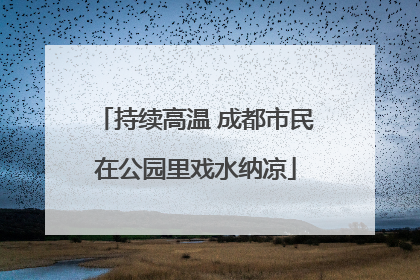 持续高温 成都市民在公园里戏水纳凉