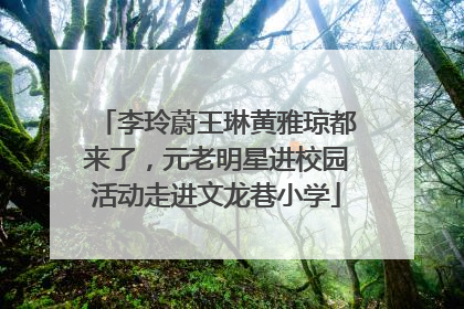 李玲蔚王琳黄雅琼都来了，元老明星进校园活动走进文龙巷小学