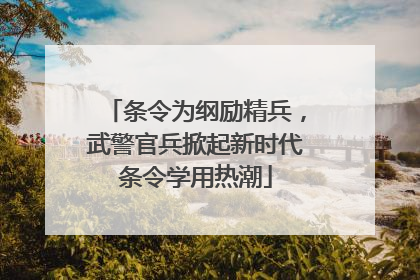 条令为纲励精兵，武警官兵掀起新时代条令学用热潮