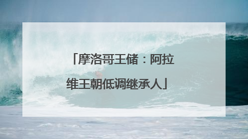 摩洛哥王储：阿拉维王朝低调继承人