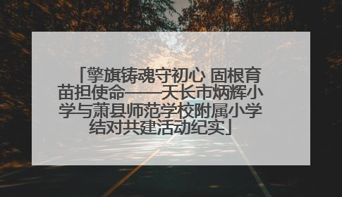 擎旗铸魂守初心 固根育苗担使命——天长市炳辉小学与萧县师范学校附属小学结对共建活动纪实