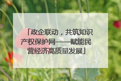 政企联动，共筑知识产权保护网——赋能民营经济高质量发展