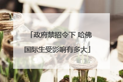 政府禁招令下 哈佛国际生受影响有多大