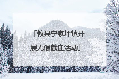 攸县宁家坪镇开展无偿献血活动