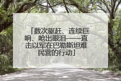 数次驱赶、连续巨响、呛出眼泪——直击以军在巴勒斯坦难民营的行动