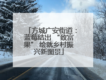 方城广安街道：蓝莓结出 “致富果” 绘就乡村振兴新图景