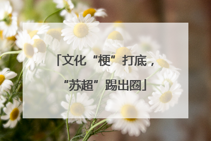 文化“梗”打底，“苏超”踢出圈