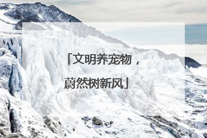 文明养宠物，蔚然树新风