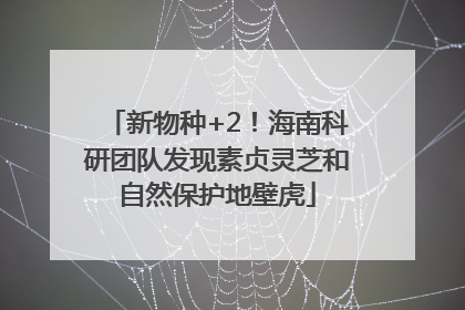 新物种+2！海南科研团队发现素贞灵芝和自然保护地壁虎