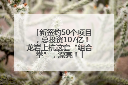 新签约50个项目，总投资107亿！龙岩上杭这套“组合拳”，漂亮！