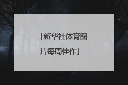 新华社体育图片每周佳作