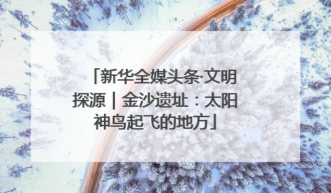 新华全媒头条·文明探源｜金沙遗址：太阳神鸟起飞的地方