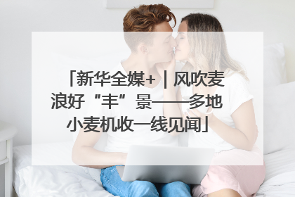 新华全媒+｜风吹麦浪好“丰”景——多地小麦机收一线见闻