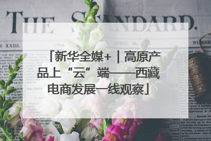 新华全媒+｜高原产品上“云”端——西藏电商发展一线观察