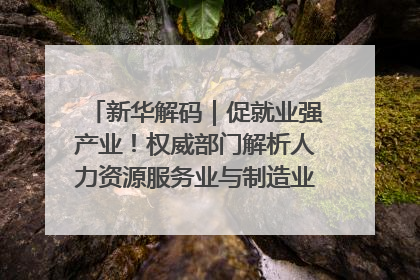 新华解码｜促就业强产业！权威部门解析人力资源服务业与制造业融合发展试点