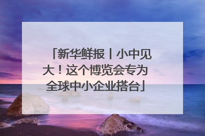 新华鲜报丨小中见大！这个博览会专为全球中小企业搭台