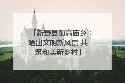 新野县前高庙乡：晒出文明新风景 共筑和美新乡村