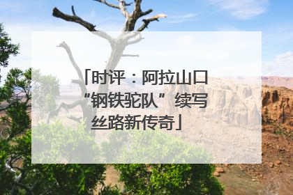 时评：阿拉山口“钢铁驼队”续写丝路新传奇