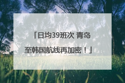 日均39班次 青岛至韩国航线再加密！
