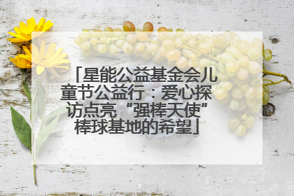 星能公益基金会儿童节公益行：爱心探访点亮“强棒天使”棒球基地的希望