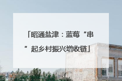 昭通盐津：蓝莓“串”起乡村振兴增收链