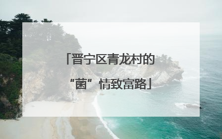 晋宁区青龙村的“菌”情致富路